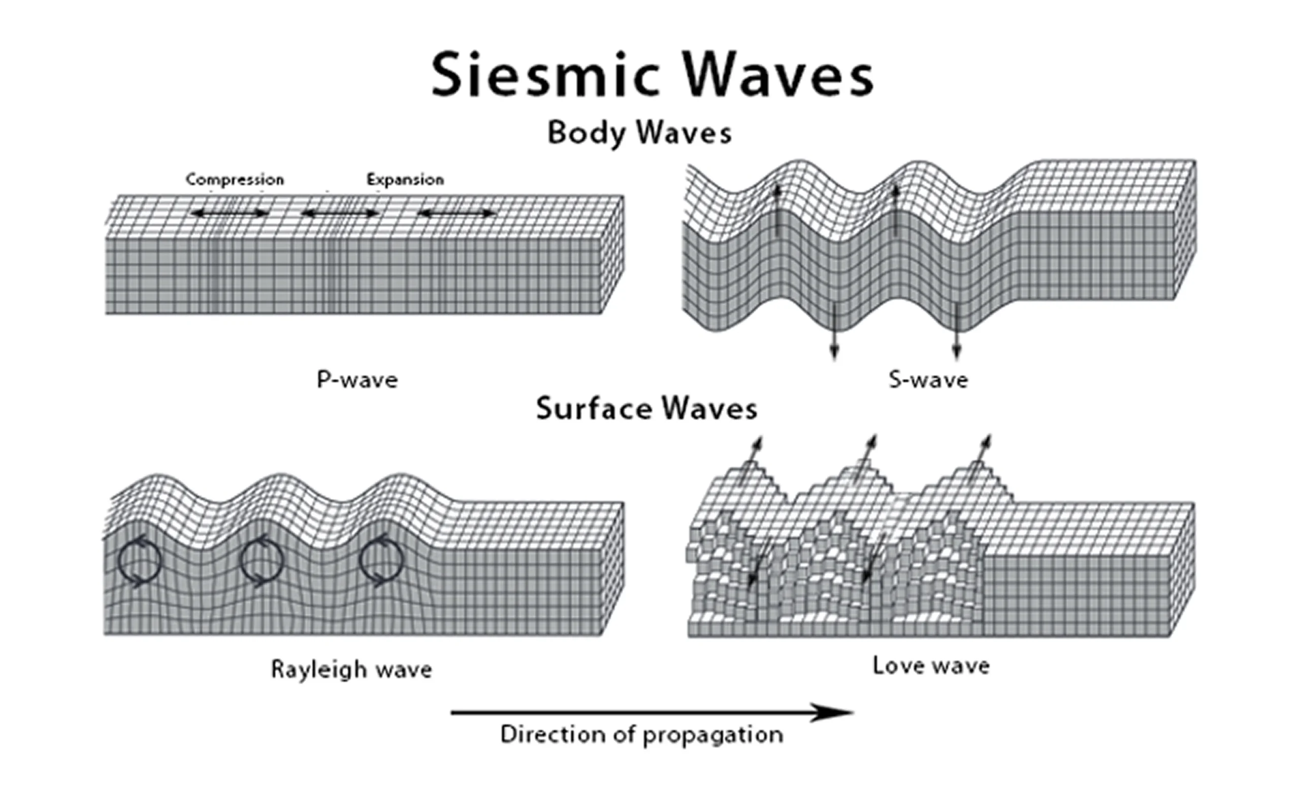 Differences between surface and body seismic waves